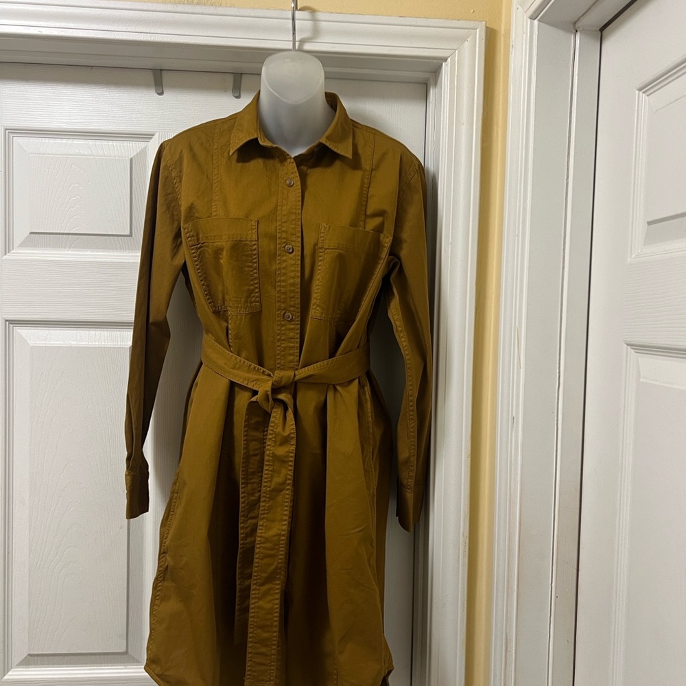 Everlane Long Sleeve Shirt Tobacco Brown Shirt Dress
